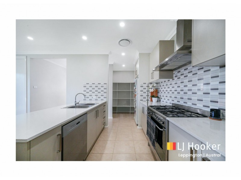 50 Wiregrass Avenue, Denham Court NSW 2565