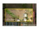 91 Anthony Road, Leppington NSW 2179
