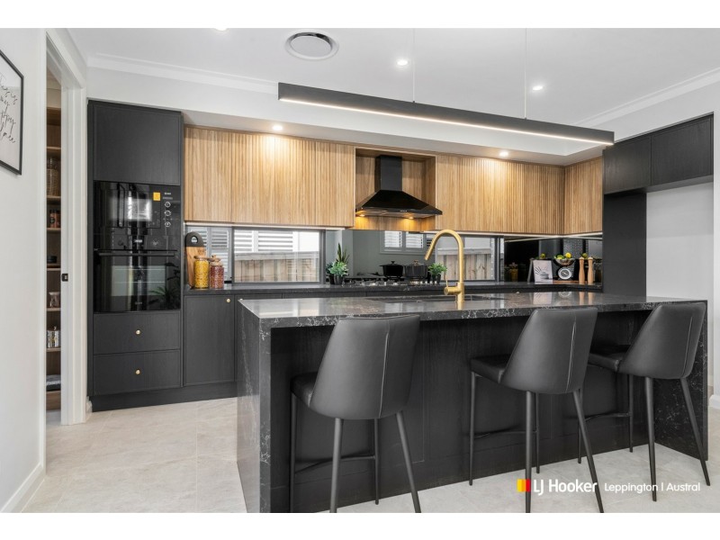 17 Moon Street, Leppington NSW 2179