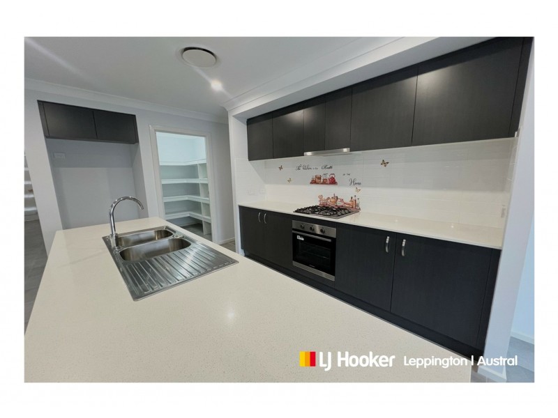 41 Crystal Palace Way, Leppington NSW 2179