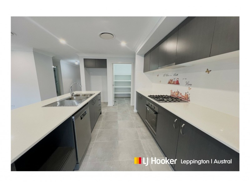 41 Crystal Palace Way, Leppington NSW 2179