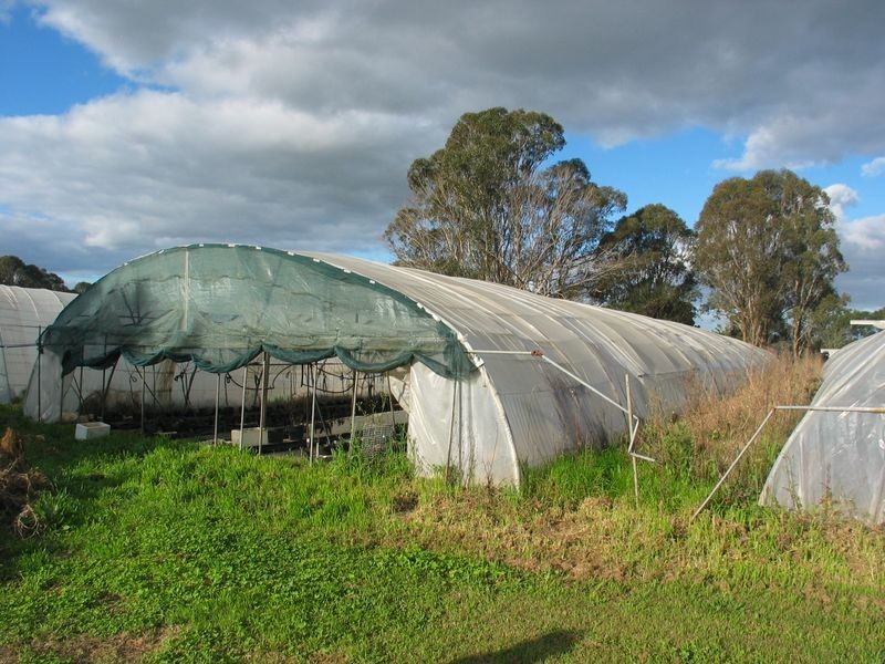 Badgerys Creek NSW 2555