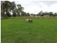 Leppington NSW 2179