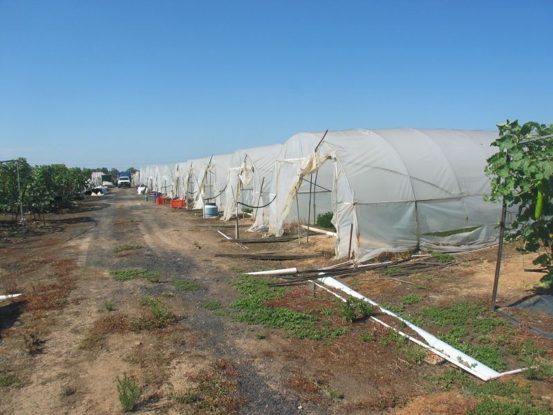 Kemps Creek NSW 2178