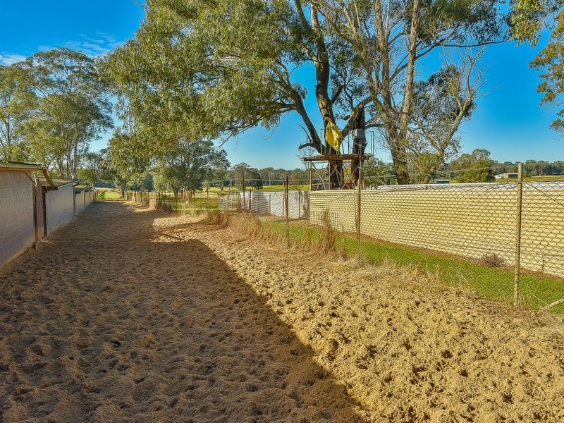 90 Dairy Road, The Oaks NSW 2570
