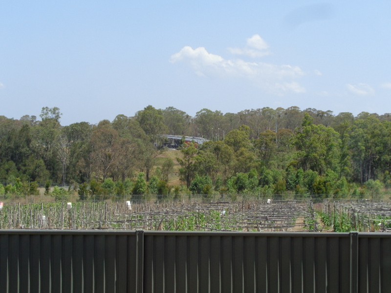 16 Wonson Street, Edmondson Park NSW 2174