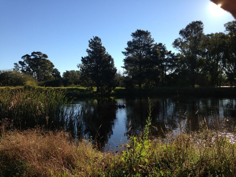 Catherine Field NSW 2557