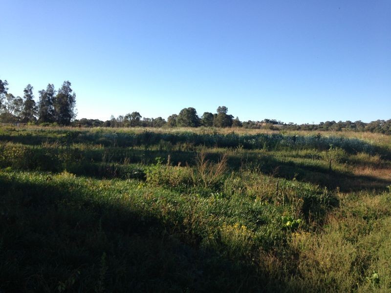 Catherine Field NSW 2557