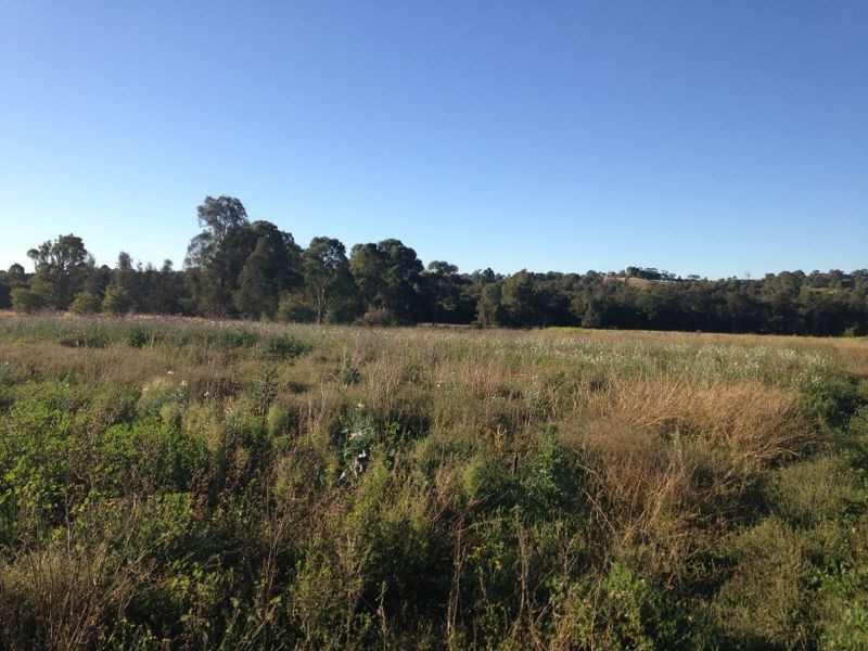 Catherine Field NSW 2557