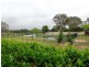 Rossmore NSW 2557