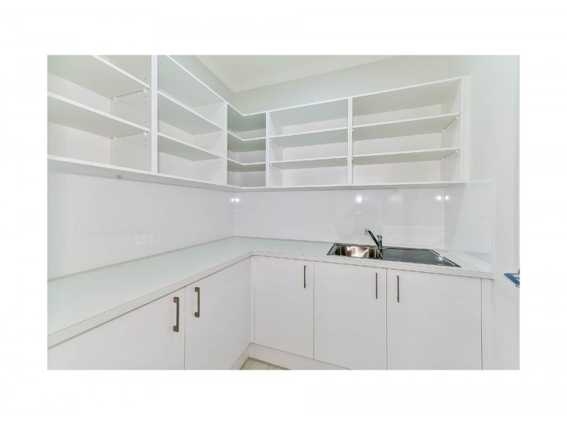 4 Dipodium Avenue, Denham Court NSW 2565