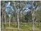 37 Grantham Crescent, Denham Court NSW 2565