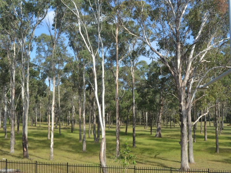 37 Grantham Crescent, Denham Court NSW 2565