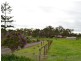 35 Tenth Avenue, Austral NSW 2179
