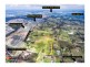 Leppington NSW 2179