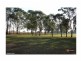 Site 40/1481 Camden Valley Way, Leppington NSW 2179