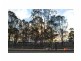 13 Needlebush Avenue, Denham Court NSW 2565