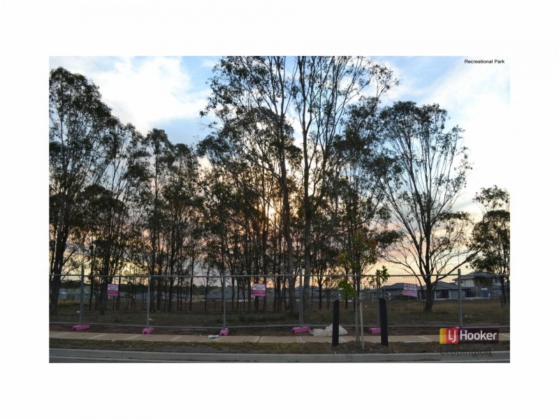 13 Needlebush Avenue, Denham Court NSW 2565