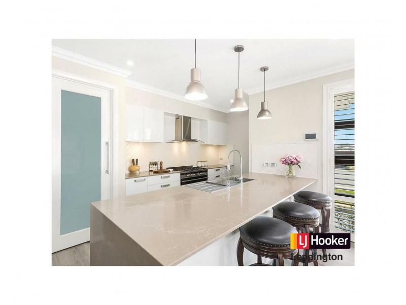 124 Willowdale Drive, Denham Court NSW 2565