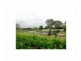 26 Whitaker Road, Rossmore NSW 2557