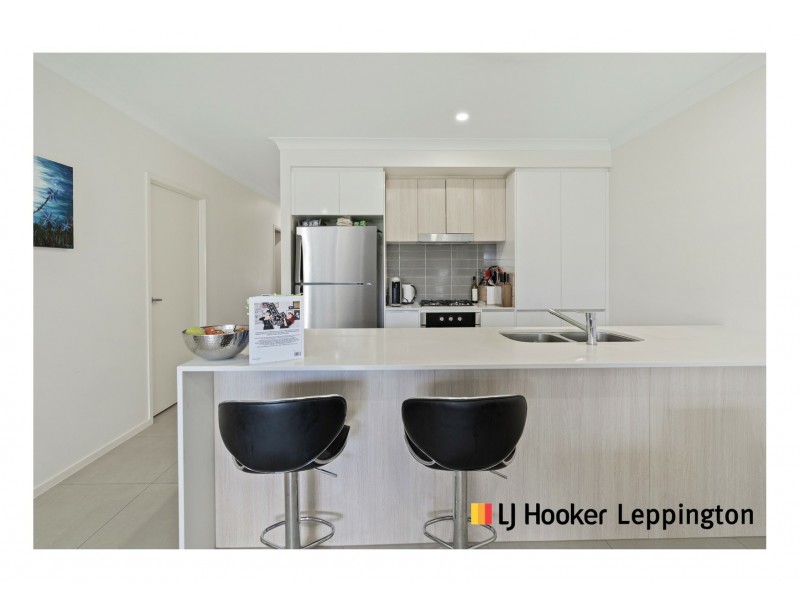12 Bibb Avenue, Cobbitty NSW 2570
