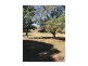 Leppington NSW 2179