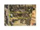 148 Alma Road, Leppington NSW 2179