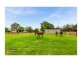 35 Robens Crescent, Catherine Field NSW 2557
