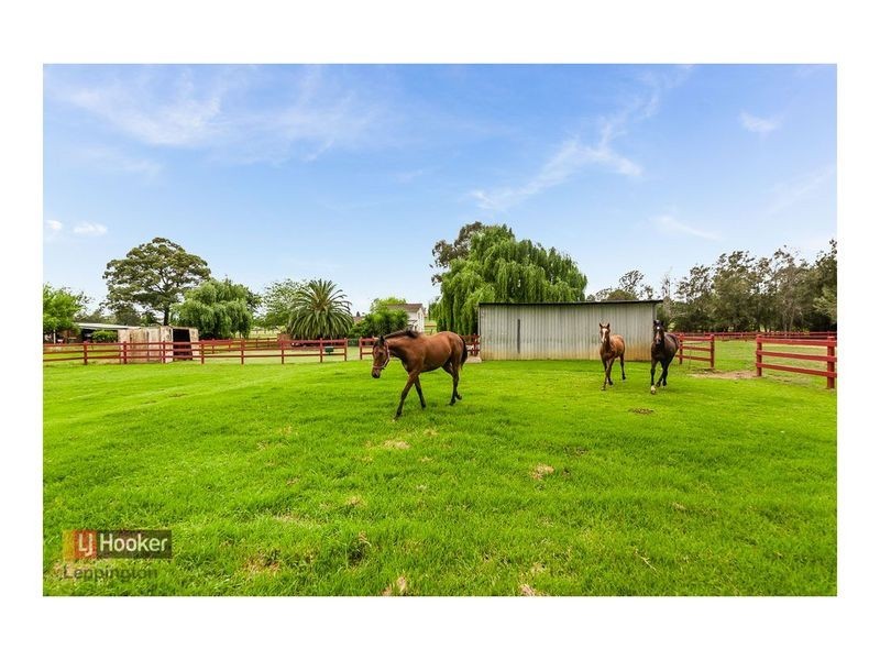 35 Robens Crescent, Catherine Field NSW 2557