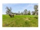 35 Robens Crescent, Catherine Field NSW 2557