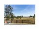15 Blacksmith Crescent, Cobbitty NSW 2570