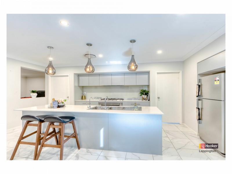 41 Passiflora Avenue, Denham Court NSW 2565