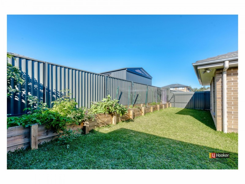 41 Passiflora Avenue, Denham Court NSW 2565