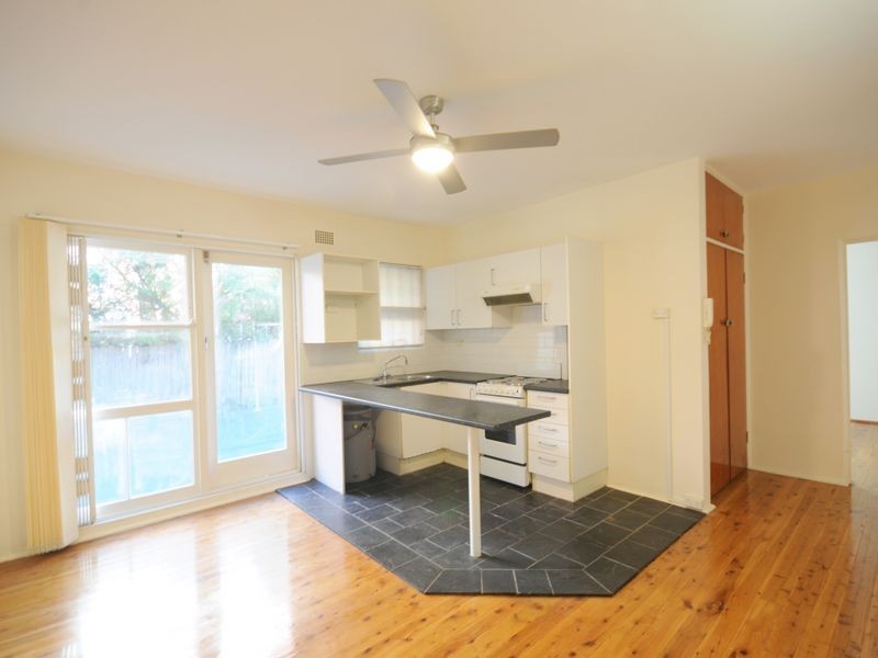 3/102 Botany Street, Randwick NSW 2031