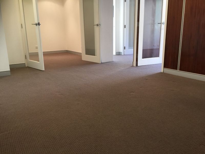 113/29 Newland Street, Bondi Junction NSW 2022