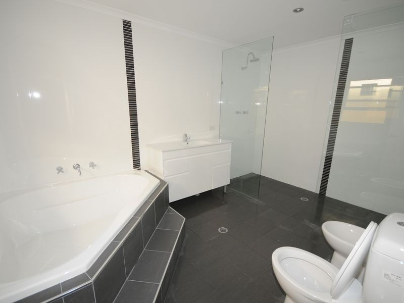 19 Hargrave Street, Paddington NSW 2021