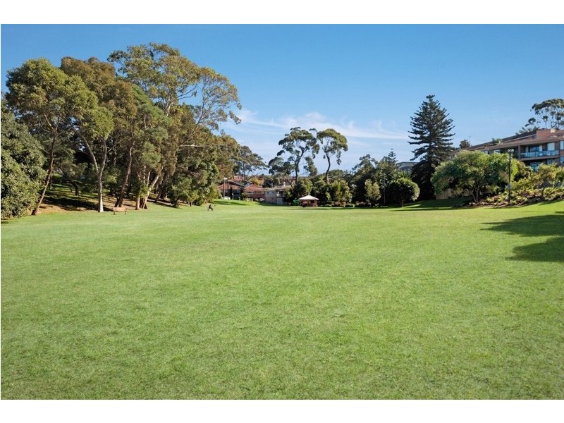 8 Barclay Street, Waverley NSW 2024