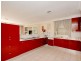124 Brighton Blvd, Ben Buckler NSW 2026