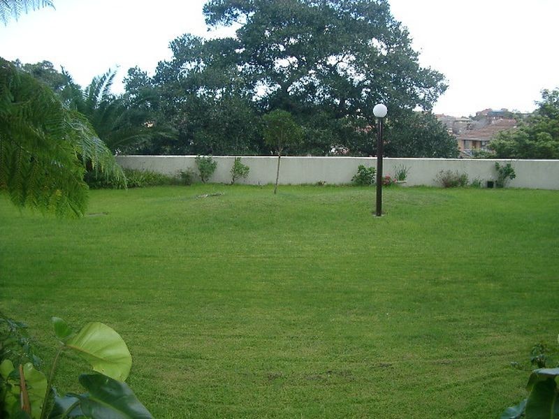 8/244 Alison Road, Randwick NSW 2031