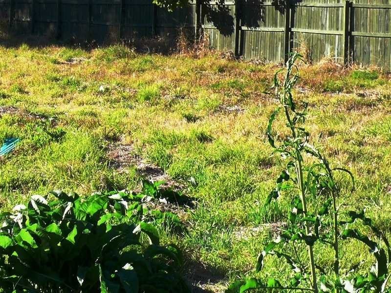 4 Daniel Street, Lowood QLD 4311