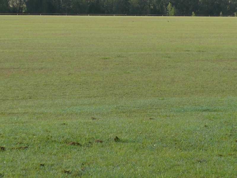 Lot 8 Watsons Road, Mount Tarampa QLD 4311
