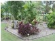 41 Clive Street, Fernvale QLD 4306