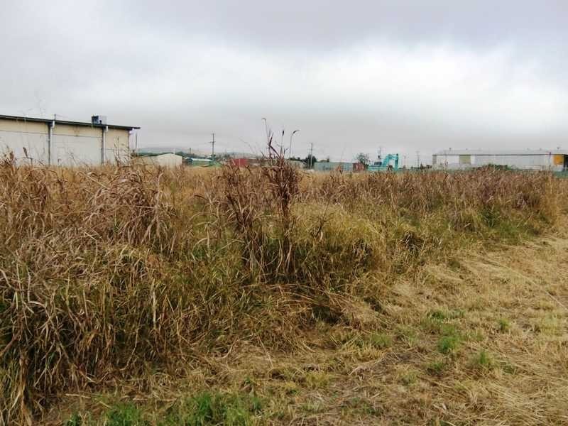 Lot 6 Lindemans Road, Lowood QLD 4311