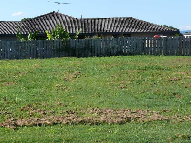 12 Varley Street, Lowood QLD 4311