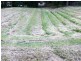 Lot 50 John Street, Lowood QLD 4311