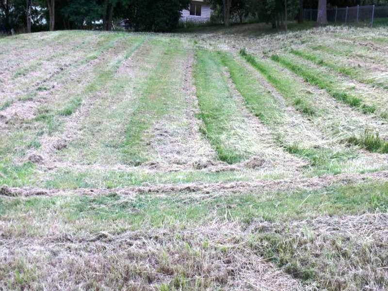 Lot 50 John Street, Lowood QLD 4311