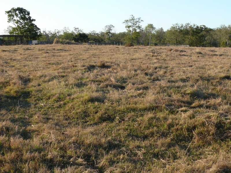 55 Clarendon Road, Lowood QLD 4311