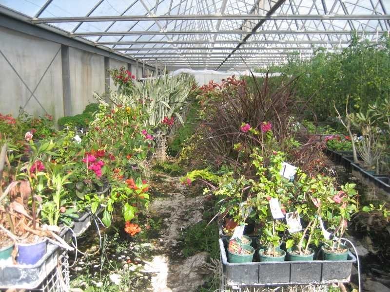 660 Mahons Road, Coominya QLD 4311