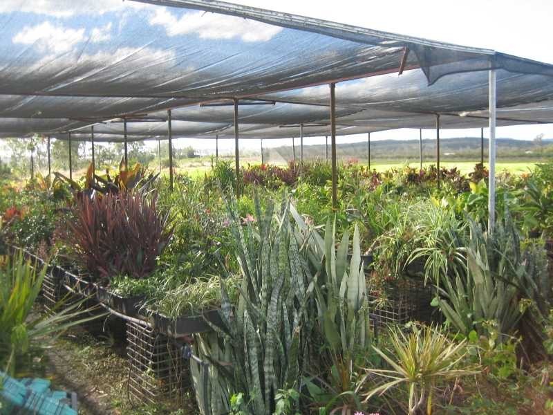 660 Mahons Road, Coominya QLD 4311