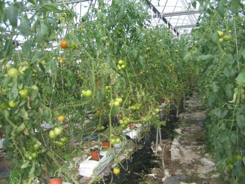 660 Mahons Road, Coominya QLD 4311